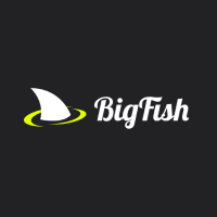 BigFish логотип
