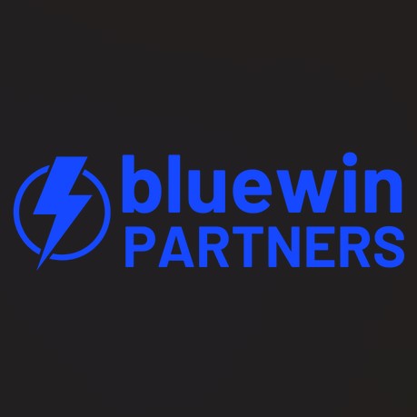 Bluewin Partners логотип