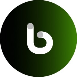 Botim Money логотип