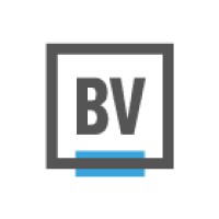 Brandverity логотип