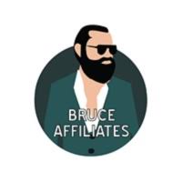 Bruce Affiliates логотип