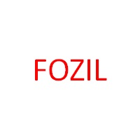 Fozil Partners логотип