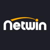 Netwin логотип
