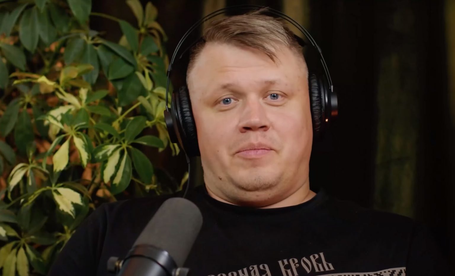 Александр Стриж логотип