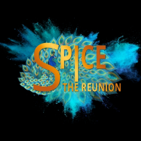 SPiCE Reunion 2025 логотип